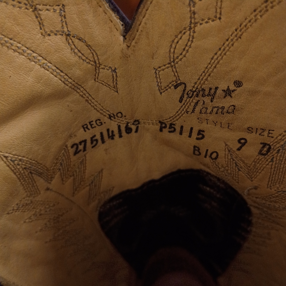 Vintage Tony Lama Python Boots - image 4